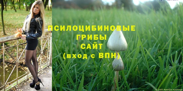 синтетический гашиш Горно-Алтайск